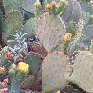 Meet your Posher, Peggy